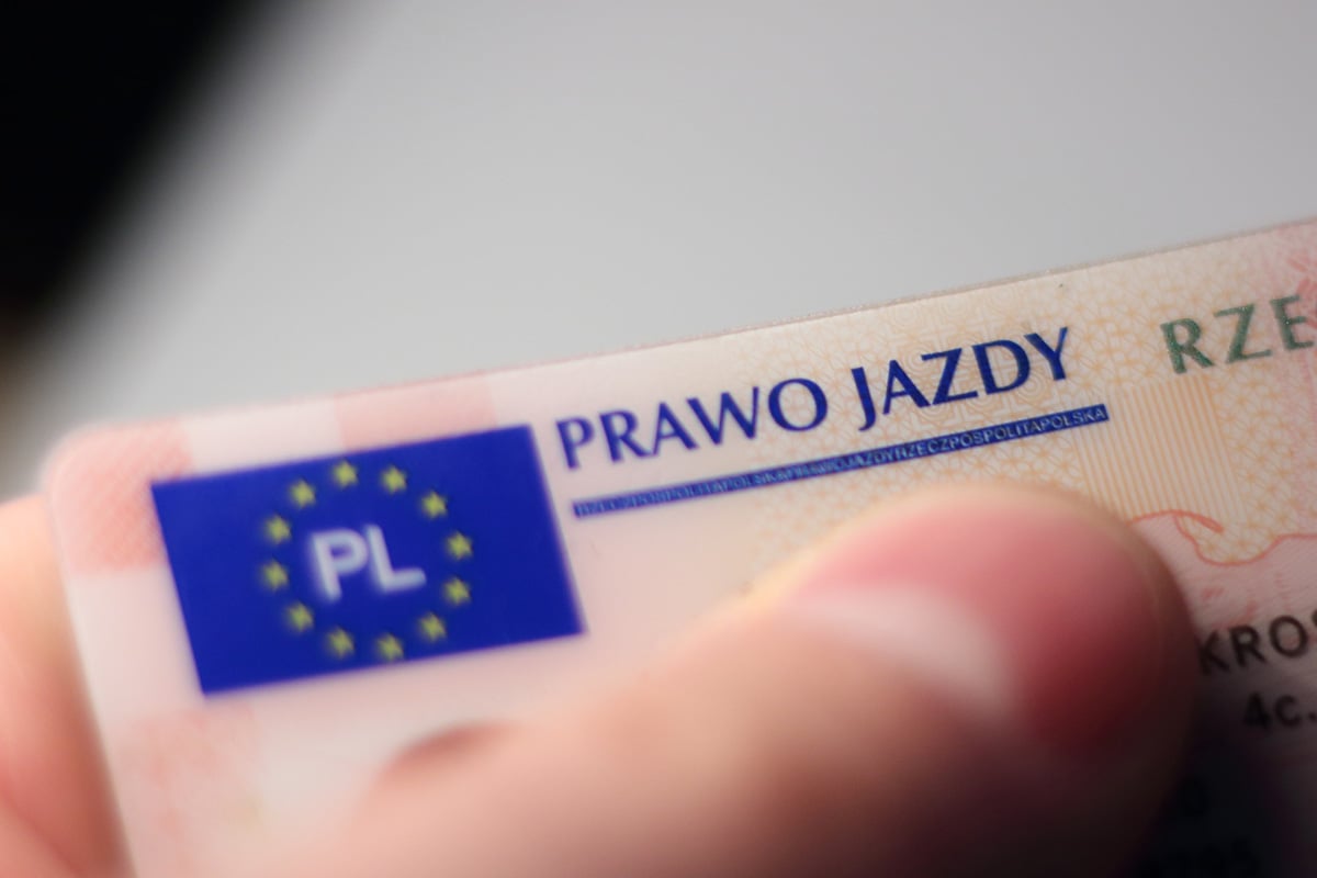 kupić prawa jazdy.